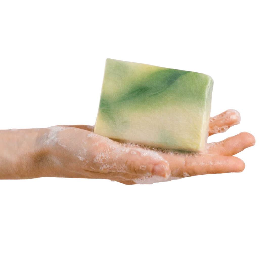 THECEMBER AHA BHA Exfoliating Soap 150g | Lactic, Glycolic &amp; Salicylic Acid Face &amp; Body Cleansing Bar