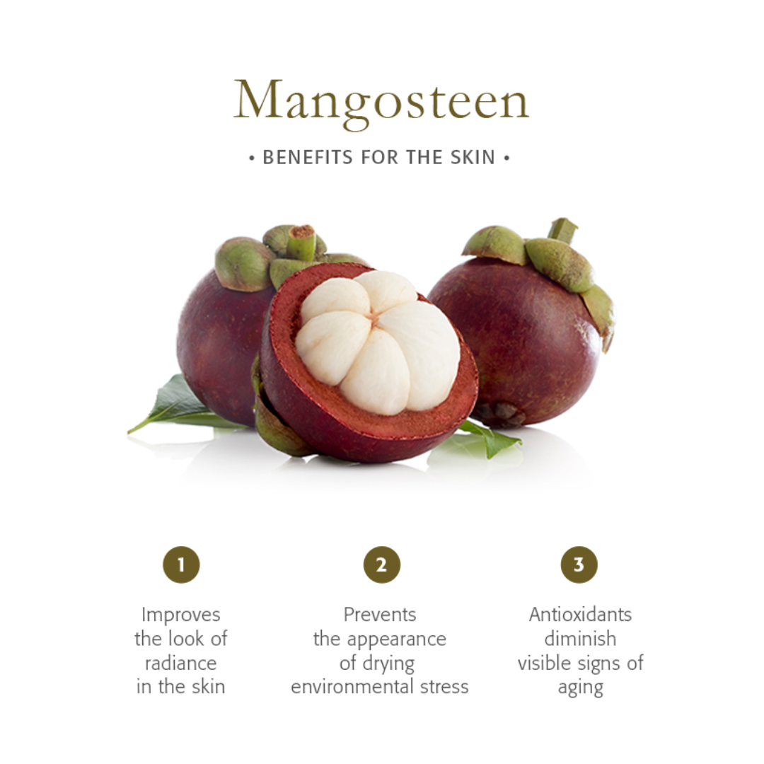 MX3 MANGOSTEEN CAPSULE 500MG 10 CAPSULES